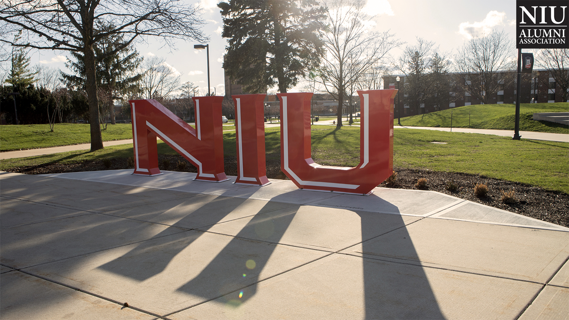 19-huskie-pride-statue