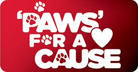 'Paws' for a Cause