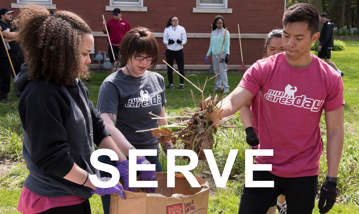 volunteer-nexus---serve