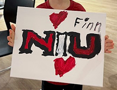 Painting option: NIU word mark logo