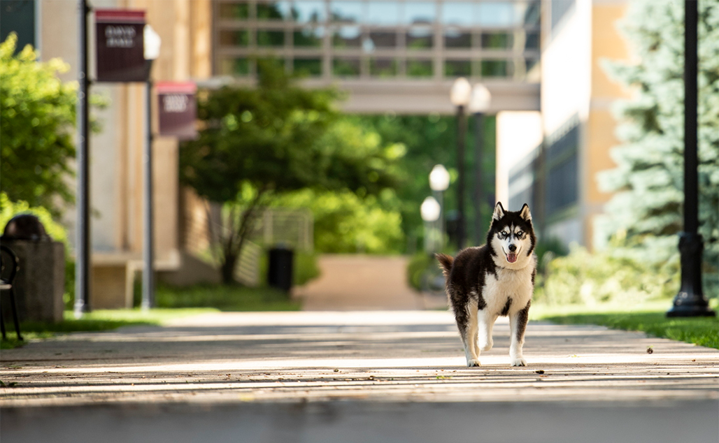 mission-walking-outside-swen