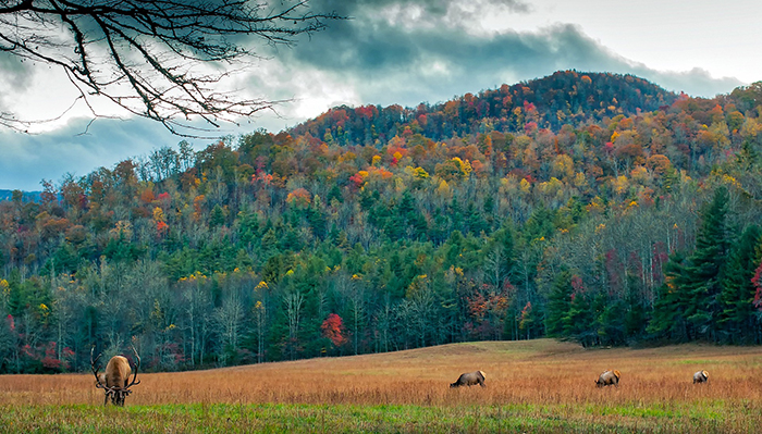 Mountains in the fall in North Carolina